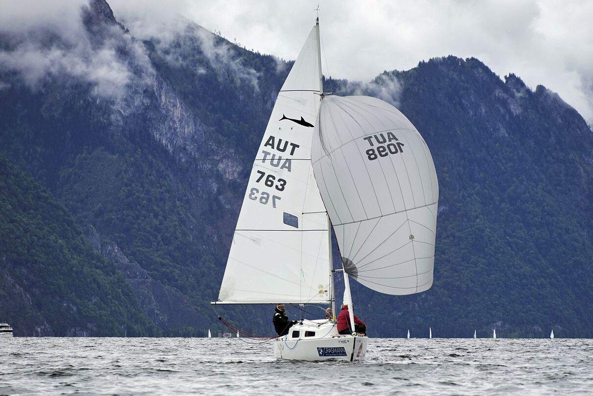 Shark24 | Herbert Widmer-Lutz 