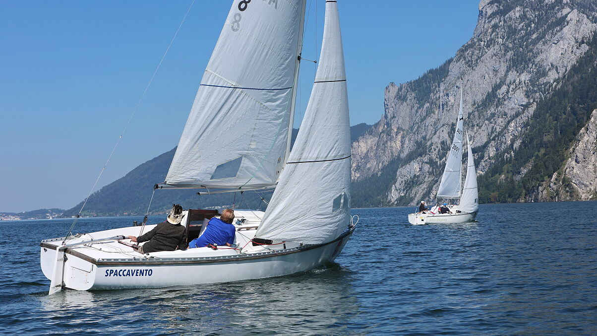 Shark24 - Ernst Flossi Felsecker