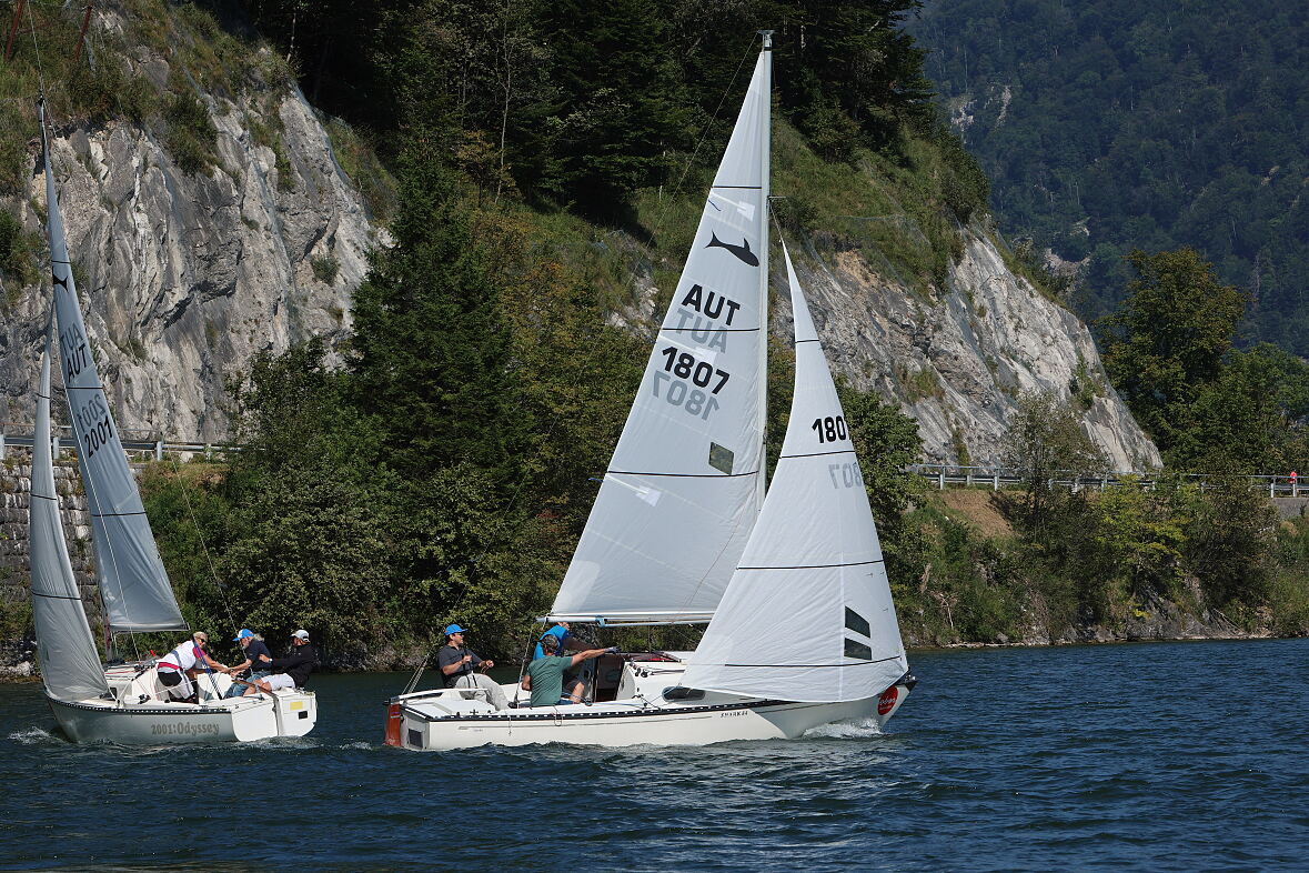 Shark24 - Michael Schahpar