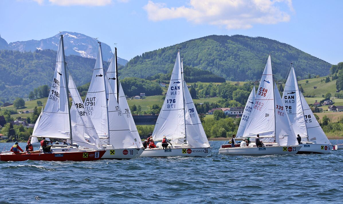 Shark24